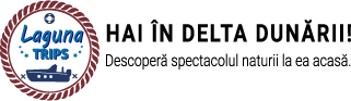 Hai-in-Delta